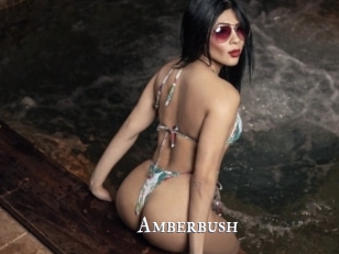 Amberbush