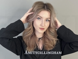 Amitygillingham
