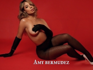 Amy_bermudez