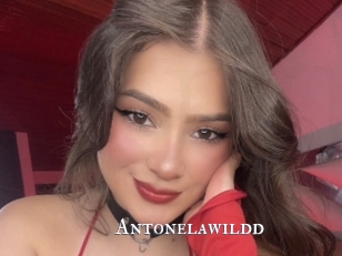 Antonelawildd