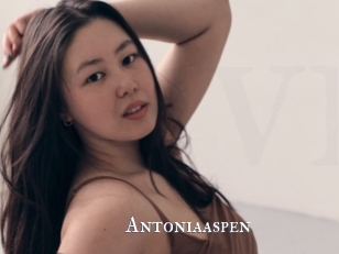 Antoniaaspen