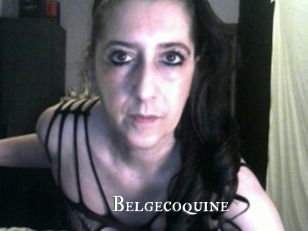 Belgecoquine