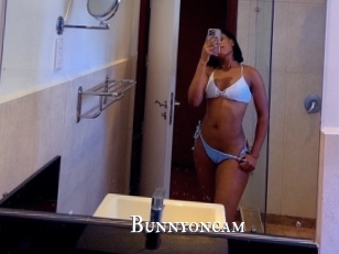 Bunnyoncam