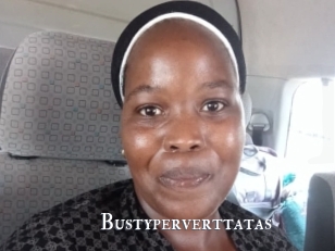Bustyperverttatas