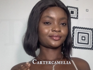 Cartercamelia