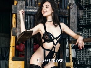 Cassierose