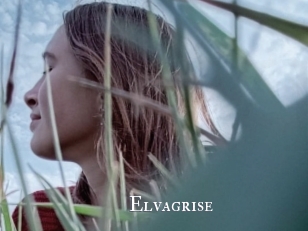 Elvagrise