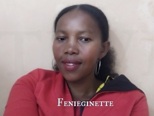 Fenieginette