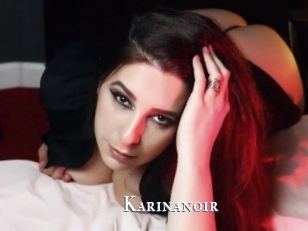 Karinanoir