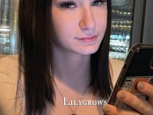 Lilygrows