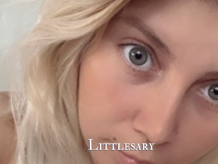 Littlesary