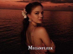 Meganfleek