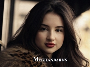 Meghanbarns