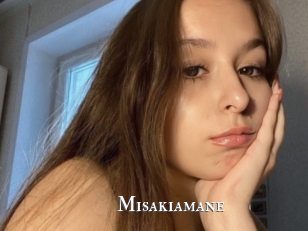 Misakiamane