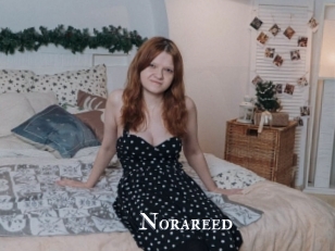 Norareed