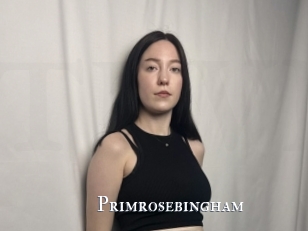 Primrosebingham