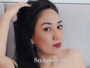 Selindongel