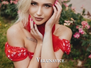 Velunavice