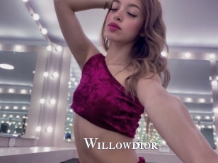 Willowdior